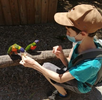 Le Sessad Autisme du Bassin d’Arcachon au zoo de Pessac