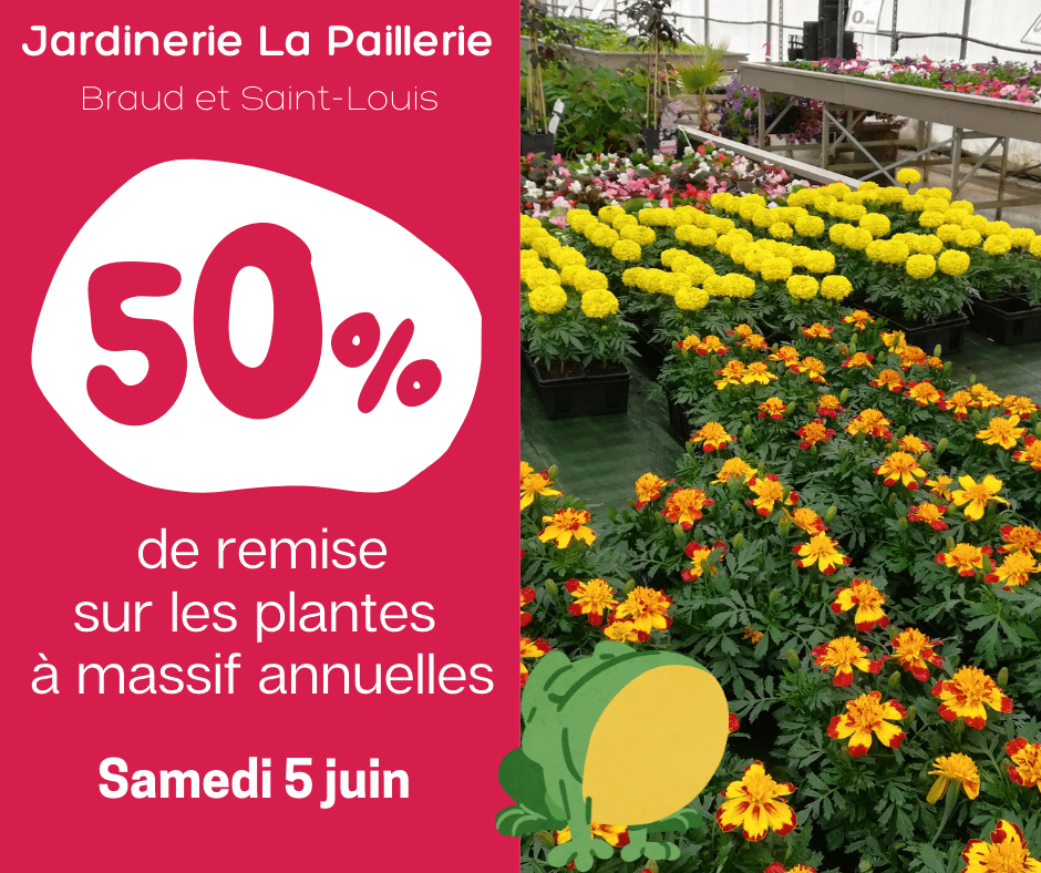 Jardinerie La Paillerie – 50% sur les plantes à massif annuelles