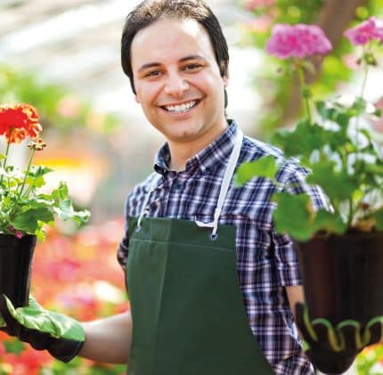 Je cherche des fleurs, des plantes, des plants de légumes