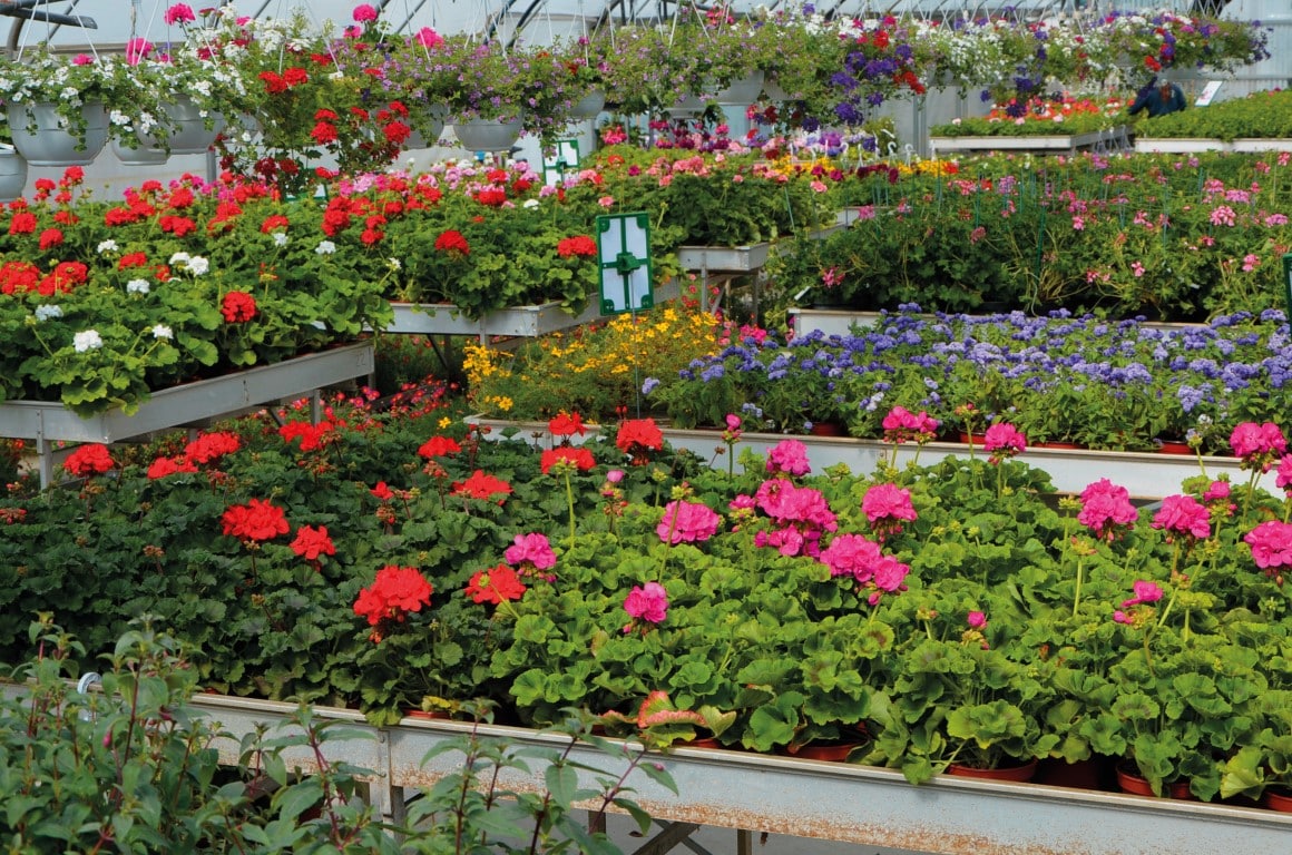 [PORTES OUVERTES] Pour les beaux jours, venez faire des affaires dans les 4 jardineries de l’Adapei !