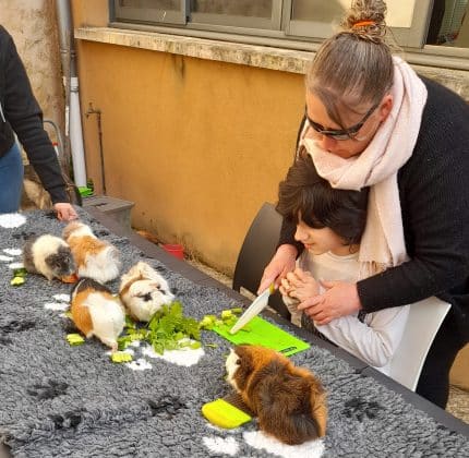 [MÉDIATION ANIMALE] Quand les animaux pansent les maux…