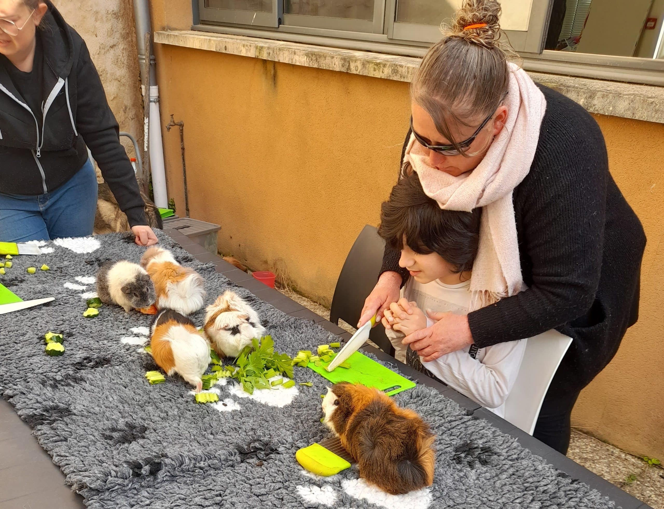 [MÉDIATION ANIMALE] Quand les animaux pansent les maux…