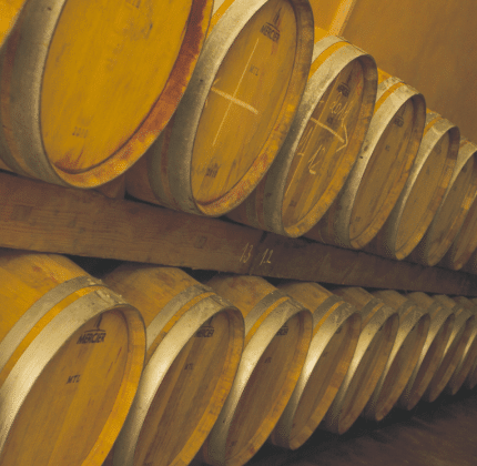 [CHÂTEAU DE VILLAMBIS] Primeurs 2023 – Le millésime 2023 est prometteur !