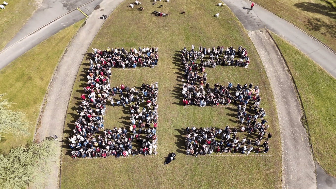 [65 ANS ADAPEI 33] Retour en images d’une journée mé-mo-rable