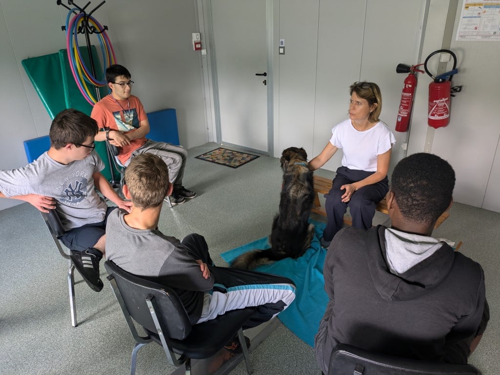 [MÉDIATION ANIMALE] L’IME du Médoc en symbiose avec les animaux