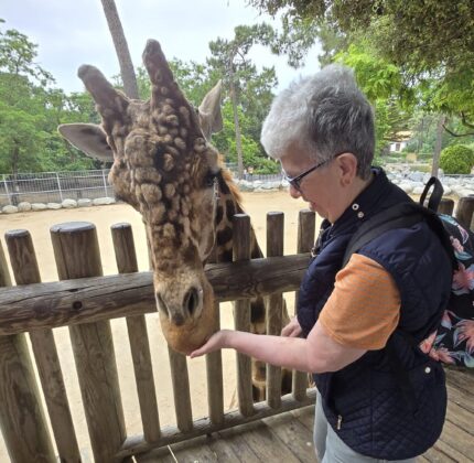 [CARNET DE VOYAGE] Escapade animalière à La Rochelle pour le FO-FAM Gujan-Mestras