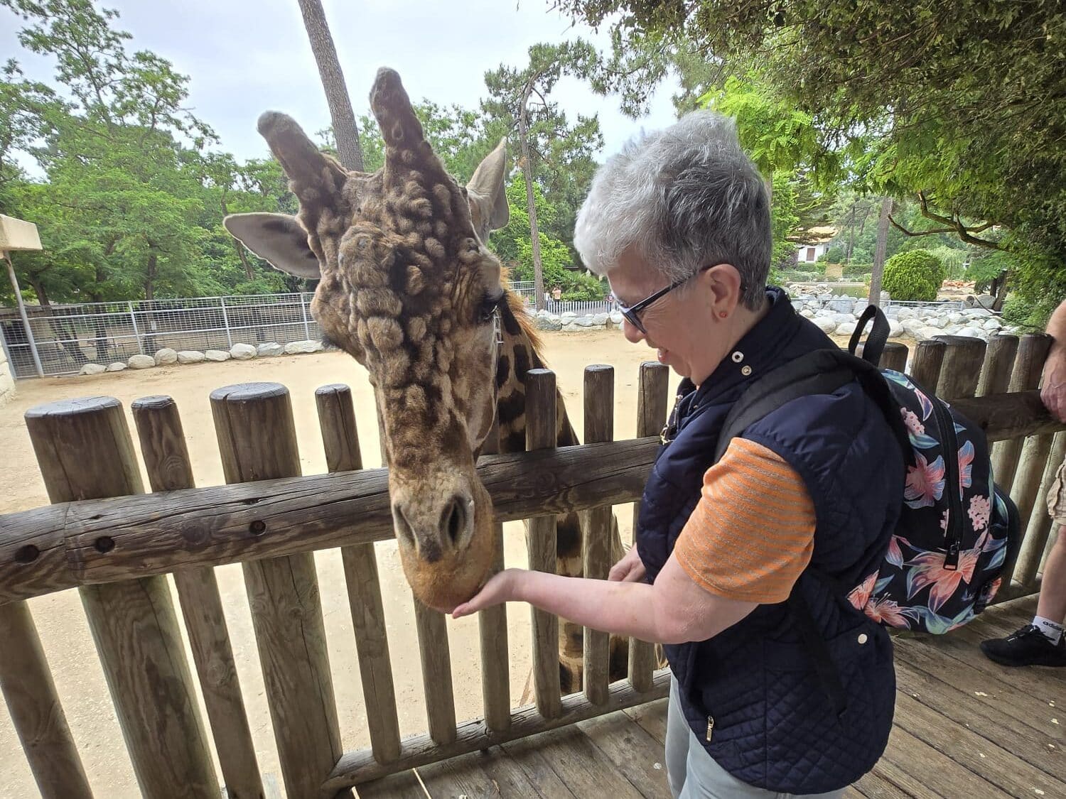 [CARNET DE VOYAGE] Escapade animalière à La Rochelle pour le FO-FAM Gujan-Mestras
