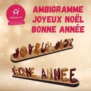 Ambigramme Joyeux Noël 