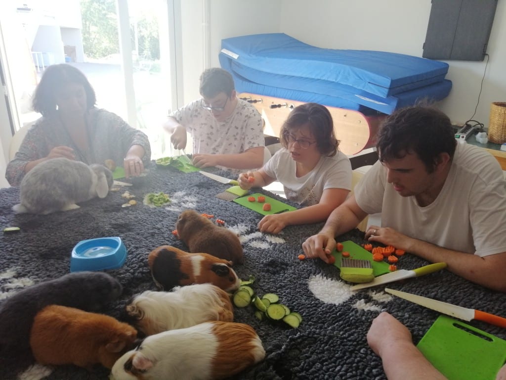 Favoriser le bien-être via les animaux au FO La Réole